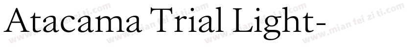 Atacama Trial Light字体转换